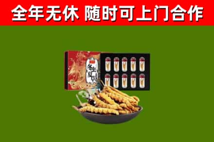 中卫回收冬虫夏草价格